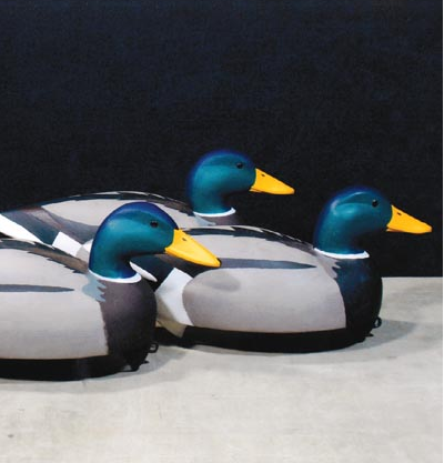 photo IAQcrop.png